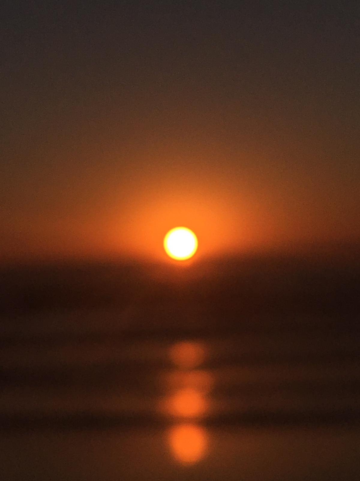 WhatsApp Image 2020-03-13 at 11.20.30 (1)