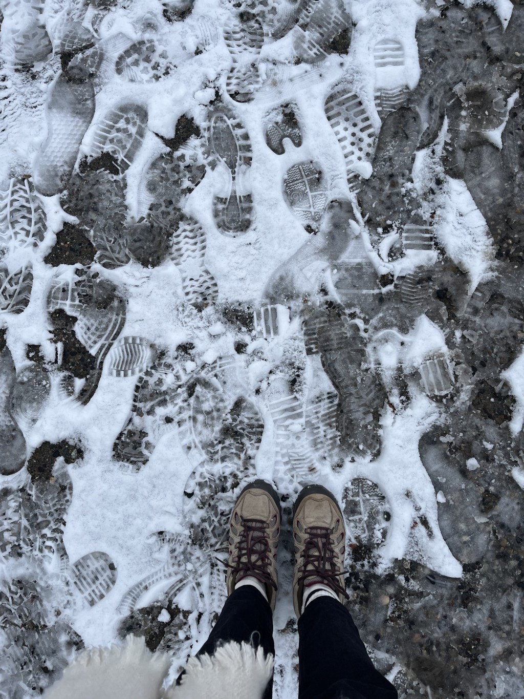 Vita, vite e&nbsp;speranza